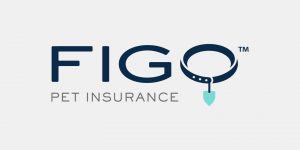 Figo insurance logo